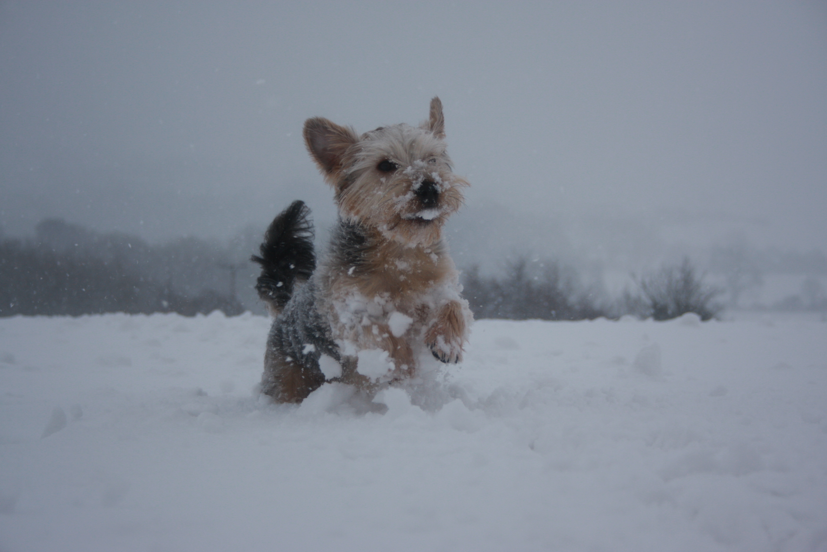 Every Day Life Style